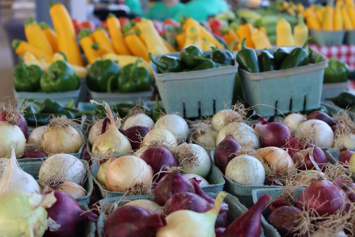 Vegetables for sale at the market