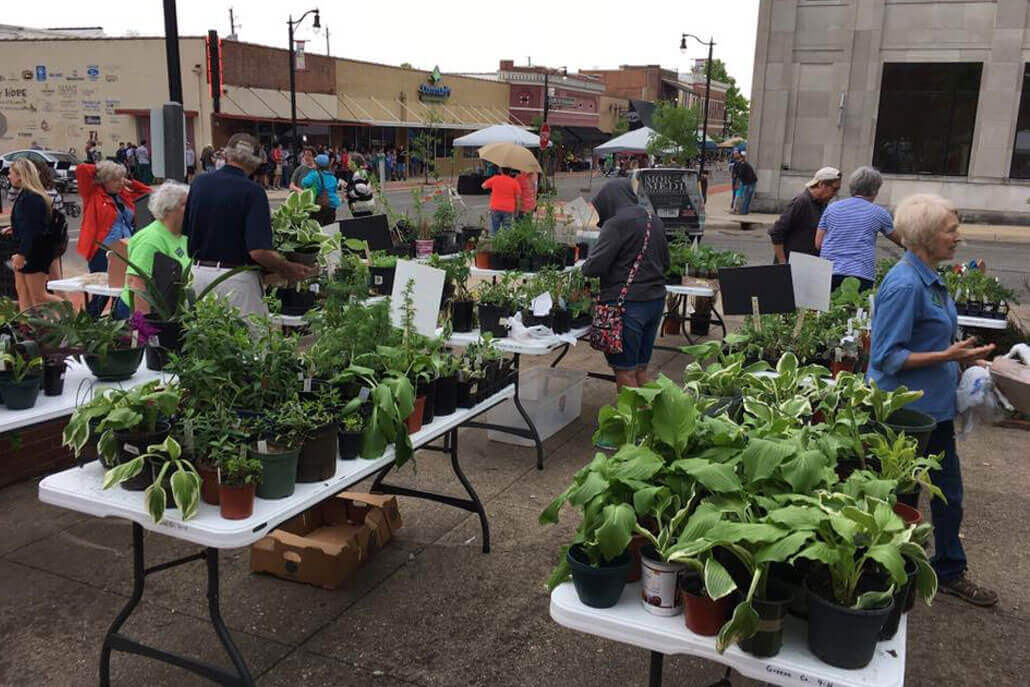 Shoppers at a Local Farmers Market in Downtown Paragould.